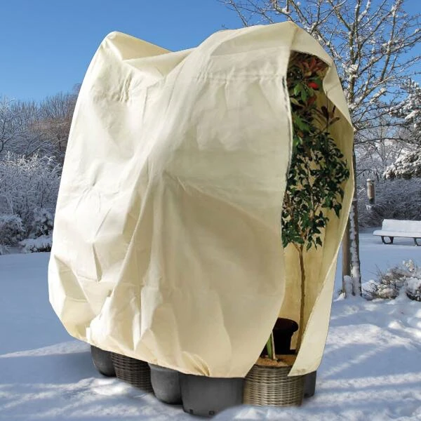 Thermobeschermhoes XXL Voor Planten - 300 × 200 Cm 4 Thermobeschermhoes XXL Voor Planten - 300 × 200 Cm - Afbeelding 2