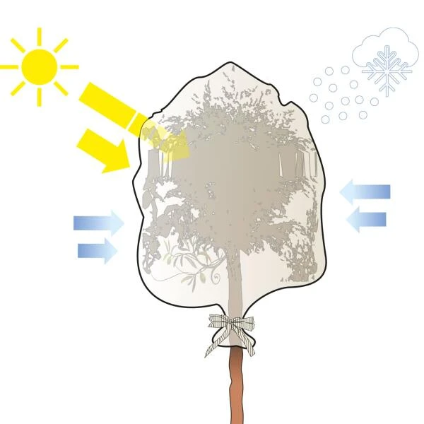 Thermobeschermhoes XXL Voor Planten - 300 × 200 Cm 6 Thermobeschermhoes XXL Voor Planten - 300 × 200 Cm - Afbeelding 4