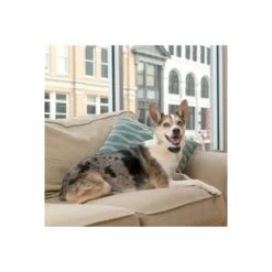 Oplaadbare Antiblafband Lite Petsafe -EDIALUX Verkoop 1642425023 2 600