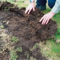 DCM Heteri-Guard - Aaltjes Tegen Engerlingen In Gazon - Voor 10 M² -EDIALUX Verkoop aaltjes tegen engerlingen 10 m 1664370204 2 600