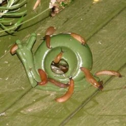 ESSCHERT DESIGN Slakkenval Keramiek - Groen 7 ESSCHERT DESIGN Slakkenval Keramiek - Groen -EDIALUX Verkoop actie super slakkenval 1484052737 1 600