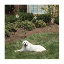 Pet Safe Outdoor Anti-blafhuisje -EDIALUX Verkoop antiblafhuisje 1484054468 4 600