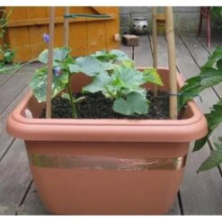 Anti-slakken Kopertape 4 M -EDIALUX Verkoop antislakken kopertape 1484052941 3 600