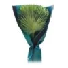 Beschermhoes Palmboom - Groen - 150 Cm -EDIALUX Verkoop beschermhoes palmboom 150 cm 1674116728 1 600