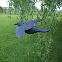 Duivenverjager Vliegende Raaf -EDIALUX Verkoop duivenverjager vliegende kraai 1495118313 2 600