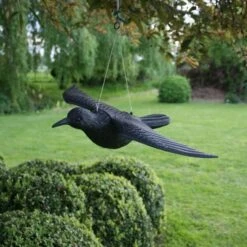 Duivenverjager Vliegende Raaf -EDIALUX Verkoop duivenverjager vliegende kraai 1495118460 1 600