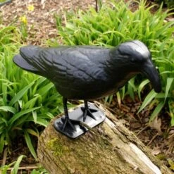 Duivenverjager Kraai Roepend -EDIALUX Verkoop kraai met geluid 1523289337 3 600