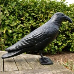 Duivenverjager Kraai Roepend -EDIALUX Verkoop kraai met geluid 1523289337 4 600