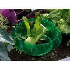 Slakken Beschermringen - Set Van 6 Stuks -EDIALUX Verkoop slakken beschermingsringen 1484053655 3 600