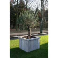 Thermobeschermhoes Jumbo Voor Planten - 240 × 200 Cm -EDIALUX Verkoop thermovorsthoes 240 x 200cm 1484053216 3 600
