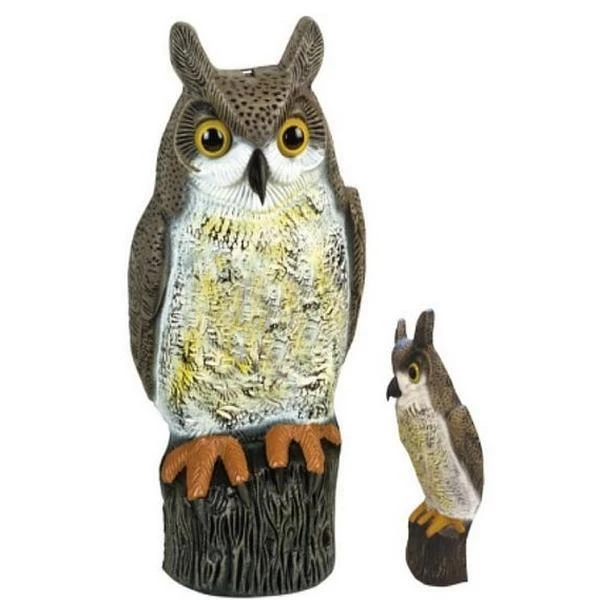 Uil Front - Vogelverschrikker 4 Uil Front - Vogelverschrikker - Afbeelding 2