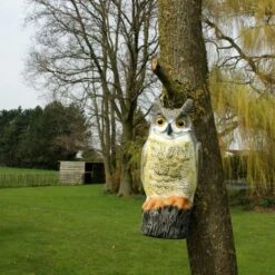 Uil Front - Vogelverschrikker 9 Uil Front - Vogelverschrikker -EDIALUX Verkoop uil front vogelverschrikker 1523282297 1 600