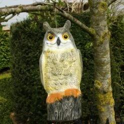 Uil Front - Vogelverschrikker 10 Uil Front - Vogelverschrikker -EDIALUX Verkoop uil front vogelverschrikker 1523282297 2 600