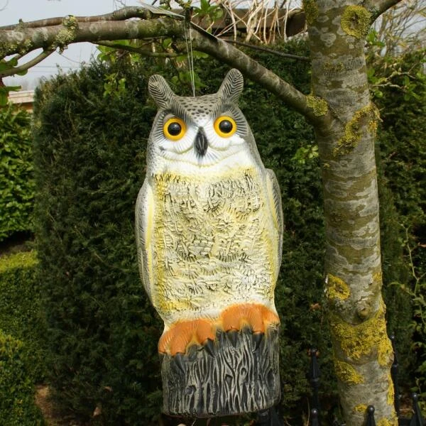 Uil Front - Vogelverschrikker 6 Uil Front - Vogelverschrikker - Afbeelding 4