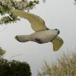 Torenvalk Als Vogelschrik -EDIALUX Verkoop vogelverjager torenvalk 1492582163 2 600
