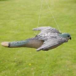 Torenvalk Als Vogelschrik -EDIALUX Verkoop vogelverjager torenvalk 1492582163 3 600