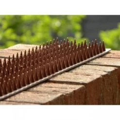 Afweerpinnen Strip Vogels, Katten,... - Bruin 7 Afweerpinnen Strip Vogels, Katten,... - Bruin -EDIALUX Verkoop vogelwering met afweerpinnen 50 cm 1484056943 3 600