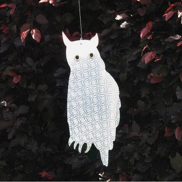 Weringsuilen Hologram - Set Van 6 Stuks 4 Weringsuilen Hologram - Set Van 6 Stuks - Afbeelding 2