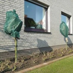 Rozen Winterhoezen - Groen - Set Van 2 Stuks -EDIALUX Verkoop winterhoes rozen groen 1484054071 3 600