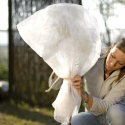 Vorsthoes Rozen - 80 × 75 Cm - Set Van 2 Stuks -EDIALUX Verkoop wintervlies rozen 1486656722 0 600